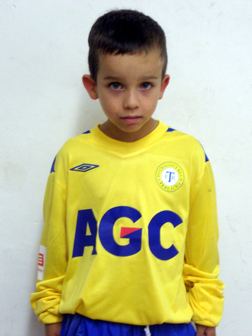 sistek_d_2
